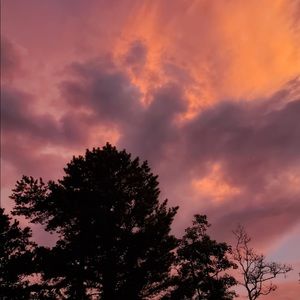 Meet your Posher, Bibi